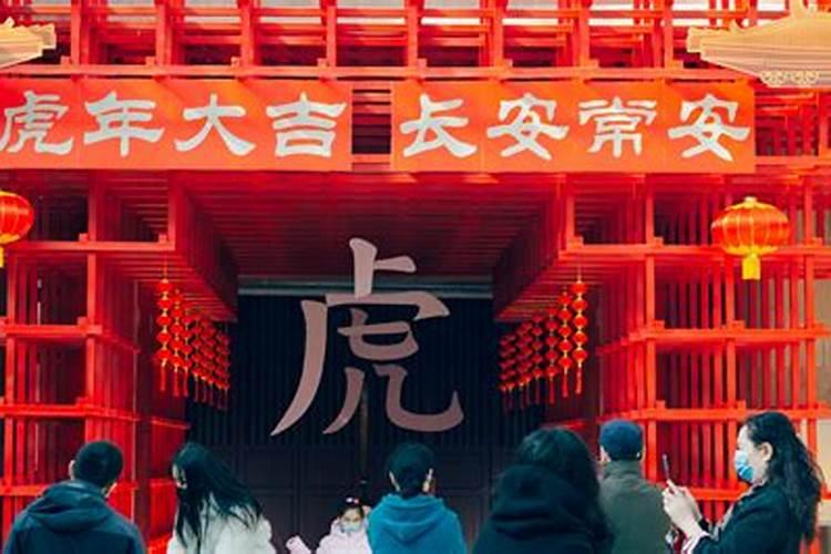 正月初二想去西安玩,大家给个建议吧
