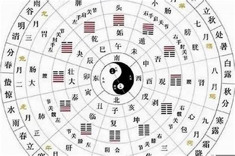 为什么说八字合婚一定要看日柱？