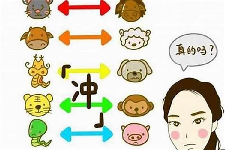 龙兔合婚能化解吗,龙兔相冲怎么化解