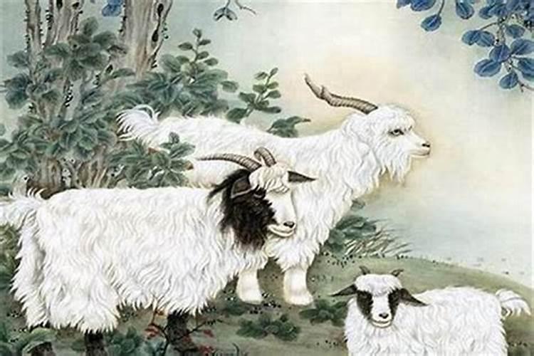 1967属羊人2025年全年运势详解