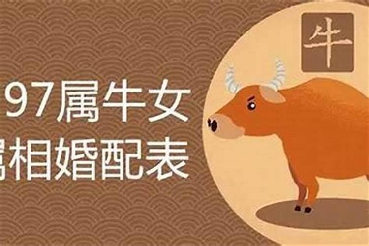 属龙女和属牛男的婚姻配吗