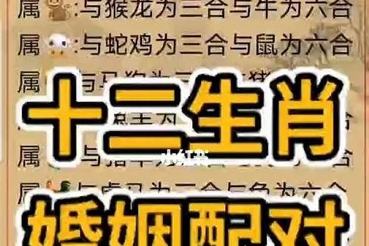 女人抽签十二签暗示了什么