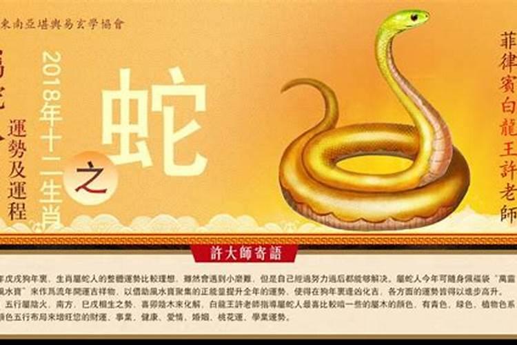 生肖蛇2025年运势 属蛇2025年运势及运程
