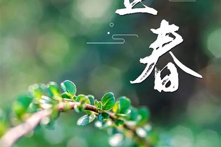 2025不能上坟吗