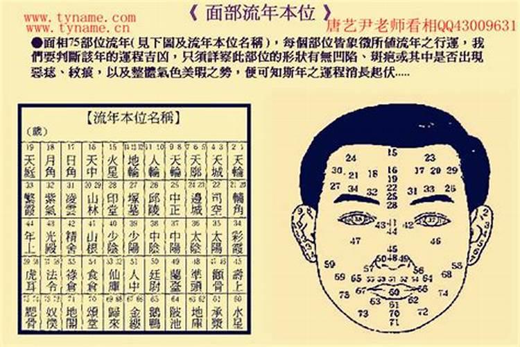 面相看哪些女人注定有钱