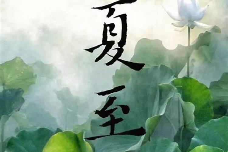 夏至的代表性动物是什么