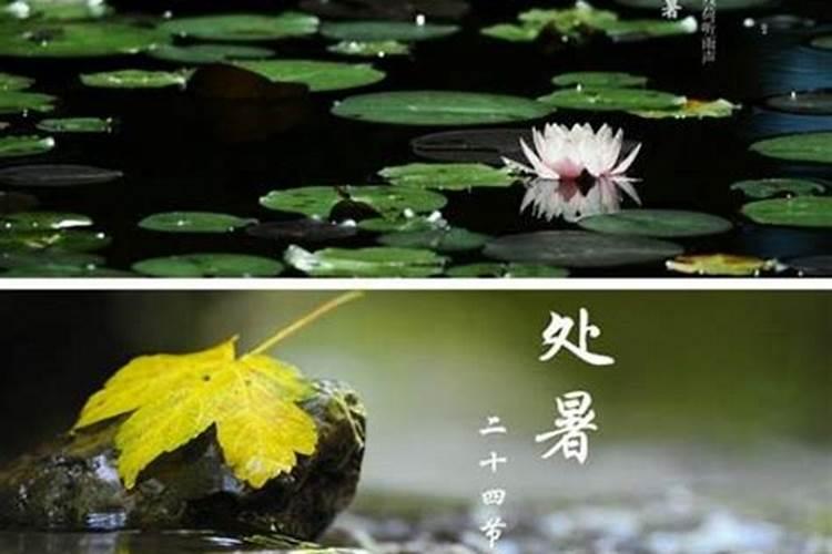 夏至是什么意思？夏至的起源和文化意义探究