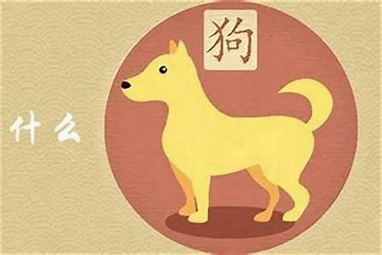 82年属狗与91年属羊婚配情况,82年的男狗狗与91年的羊相配吗,