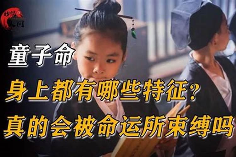 合婚主要看四柱哪项 合婚最佳配对？