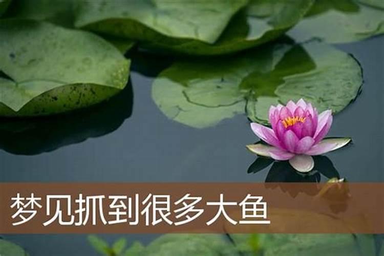 男女婚姻八字测算 婚姻宫配对方法？