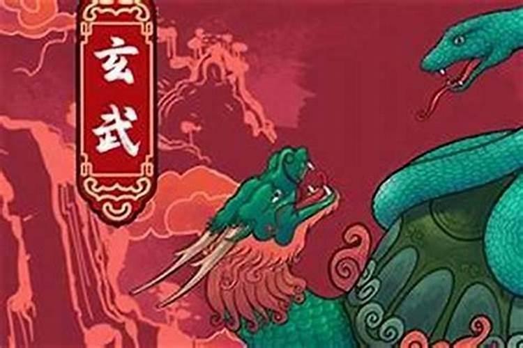 1977蛇女的后半生运势如何一生命运详解