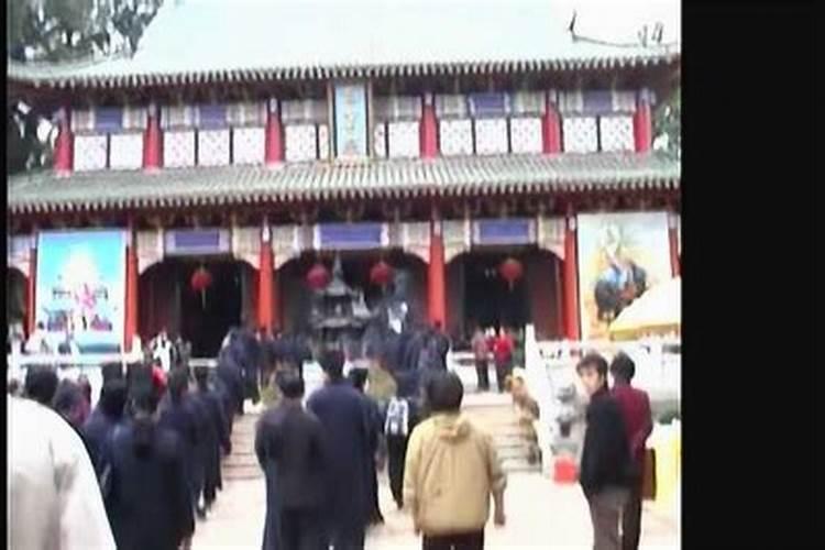 湖南沅陵特产:沅陵蒿子粑粑