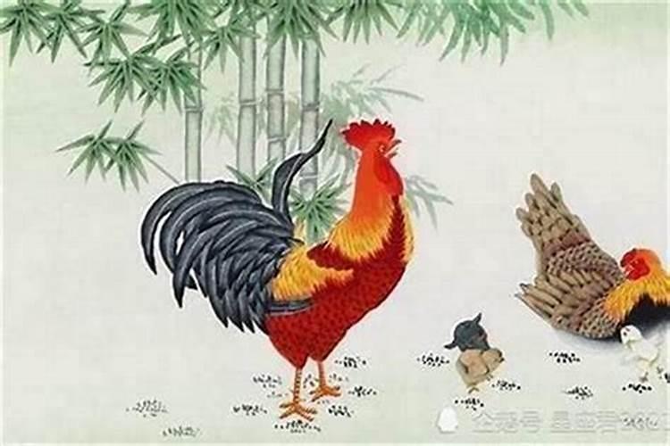 注定会离婚的八字分析 什么样的八字易离婚