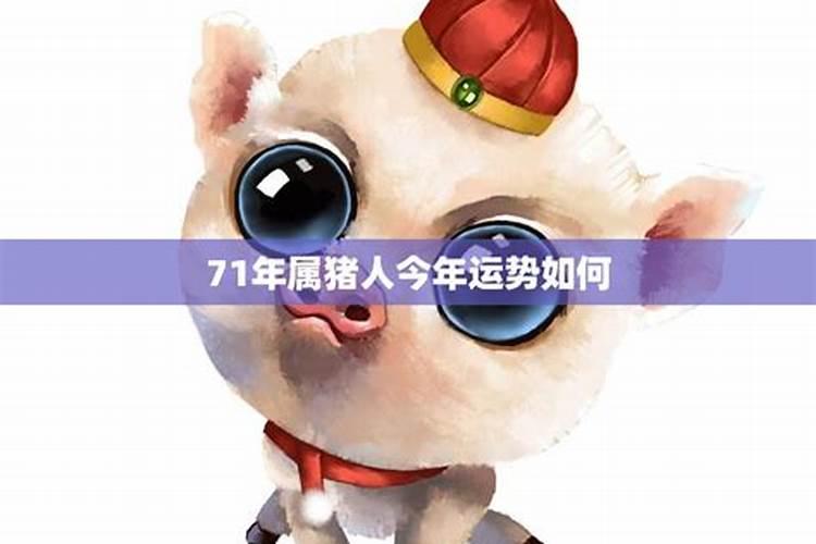 女人梦见狗很凶的要攻击我
