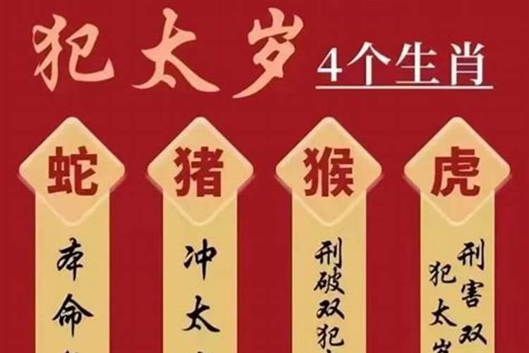 男属猪和什么属相最配夫妻
