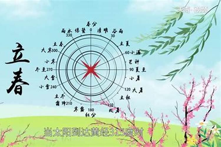 海南立夏种什么菜合适
