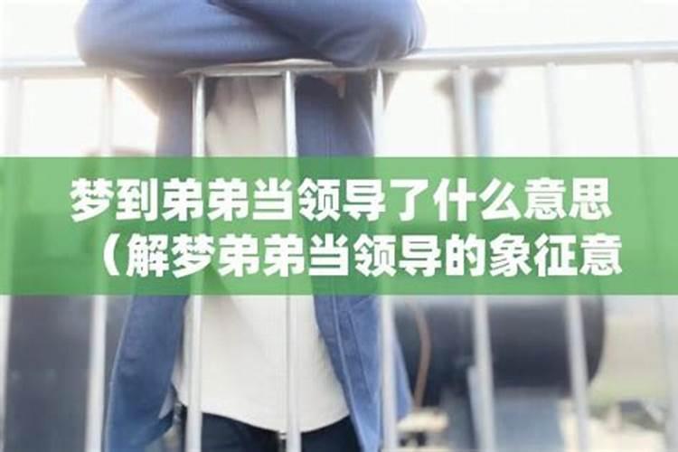 梦见已故弟弟精神病又犯J？
