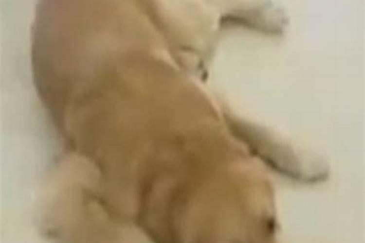 梦见前女朋友和其他男生暧昧的预兆
