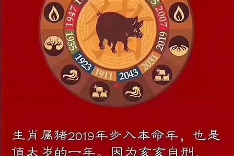 今年是什么的本命年