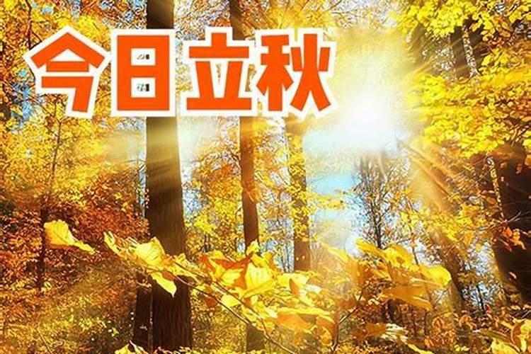 阴历1990年正月初二是木命吗