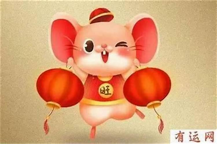 8月份的蛇命运怎么样
