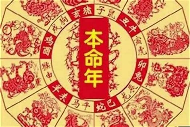 男人梦见蛇的七大预兆