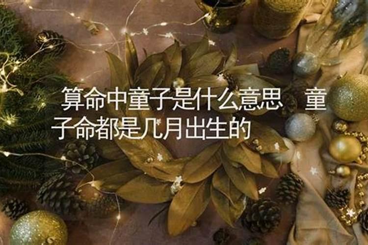 2023广州清明旅游最佳地方(玫瑰世界里寻浪漫攻略)