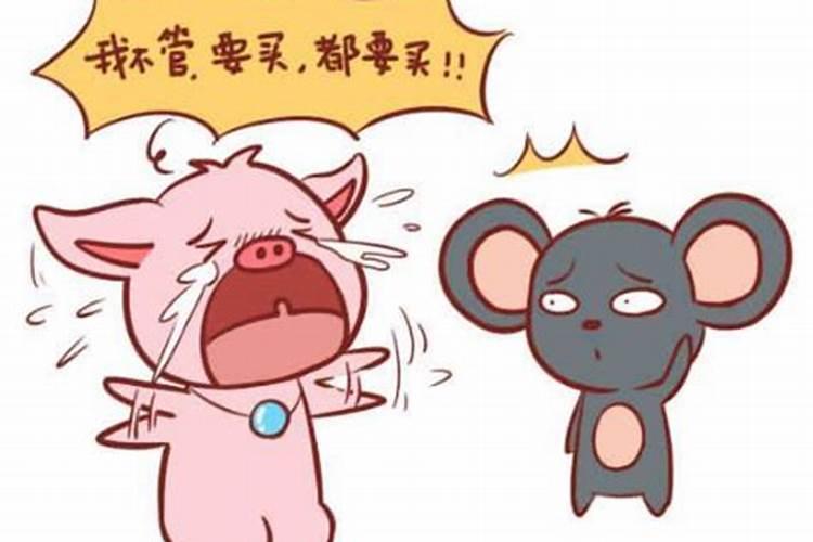 2025年属什么