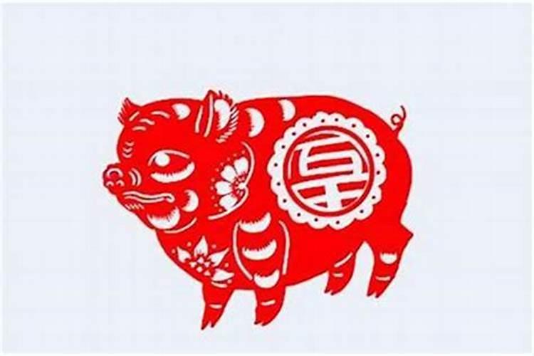 属蛇的女人和属猪男能配吗 婚姻好不好