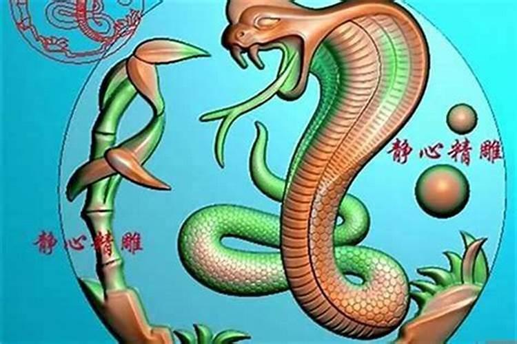 属猪和属蛇合婚吗,属猪的与属蛇的相配吗