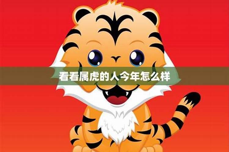 生肖虎2024年运势及运程详解