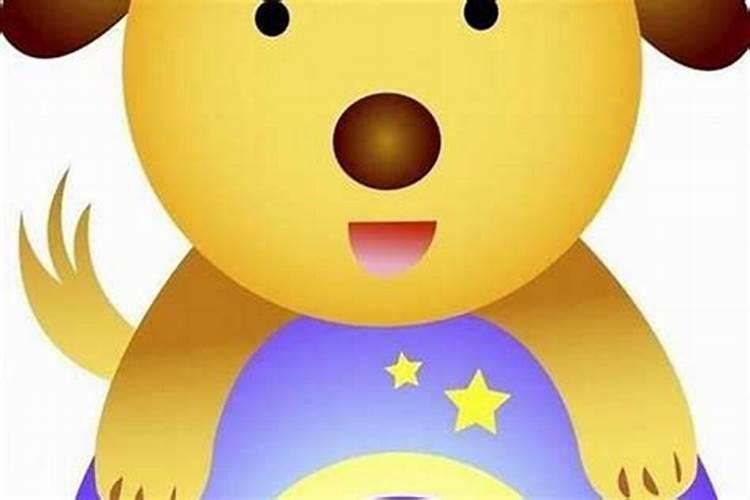 生肖狗今年的运势怎么样