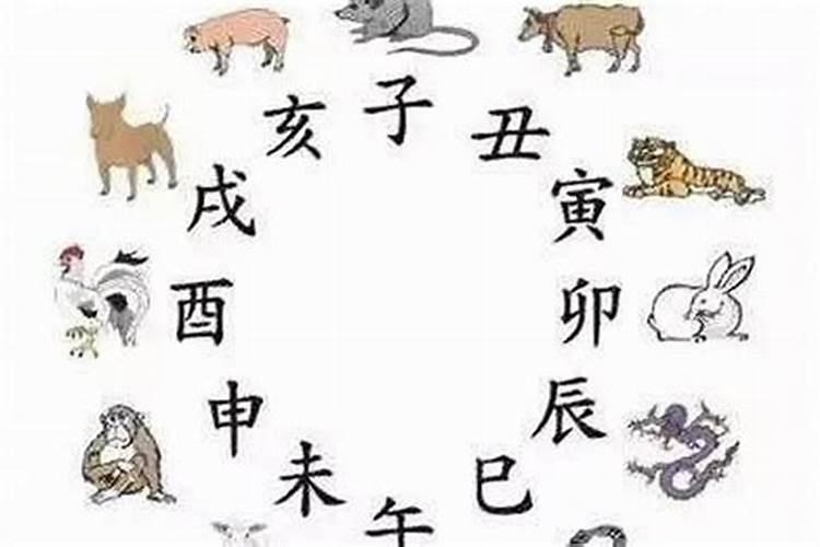 立春开什么生肖最旺运呢