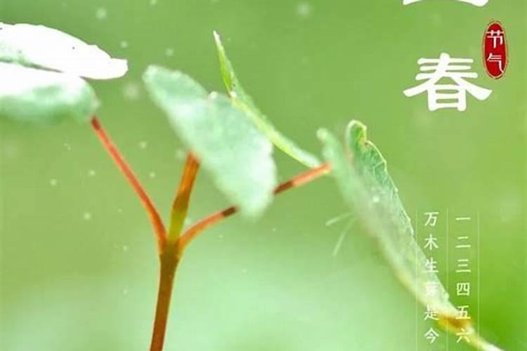 立春后属什么属相最旺