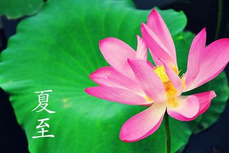 算命讲堂:命理怎么看你的生肖贵人？
