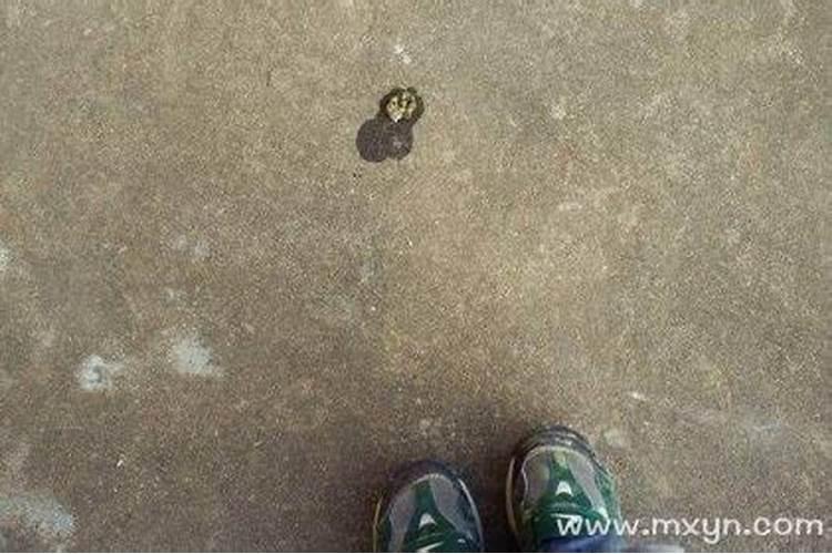 梦见鸡屎沾身是什么意思？