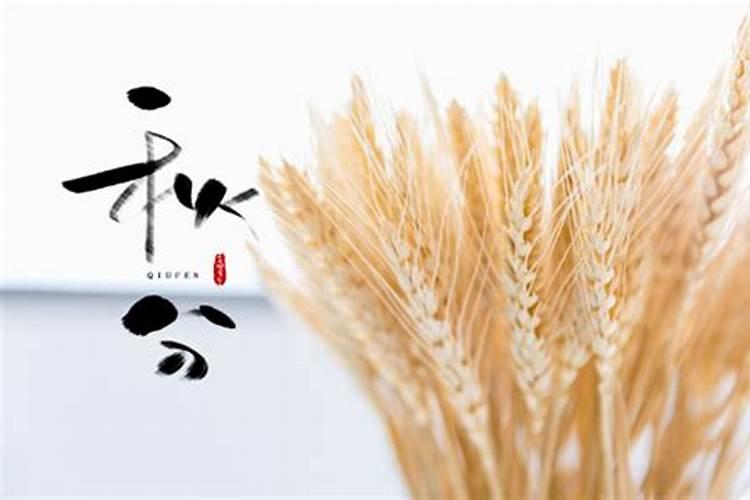 小年怎么过？