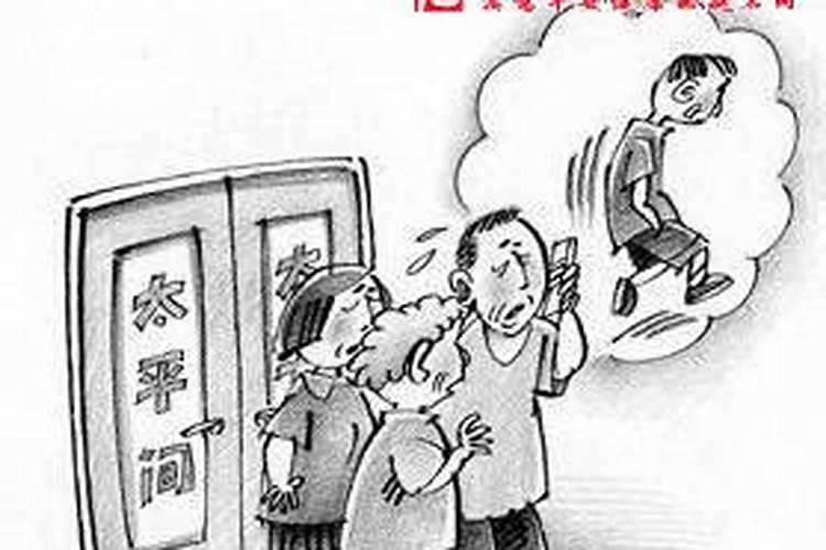 属猪女和什么属相最配