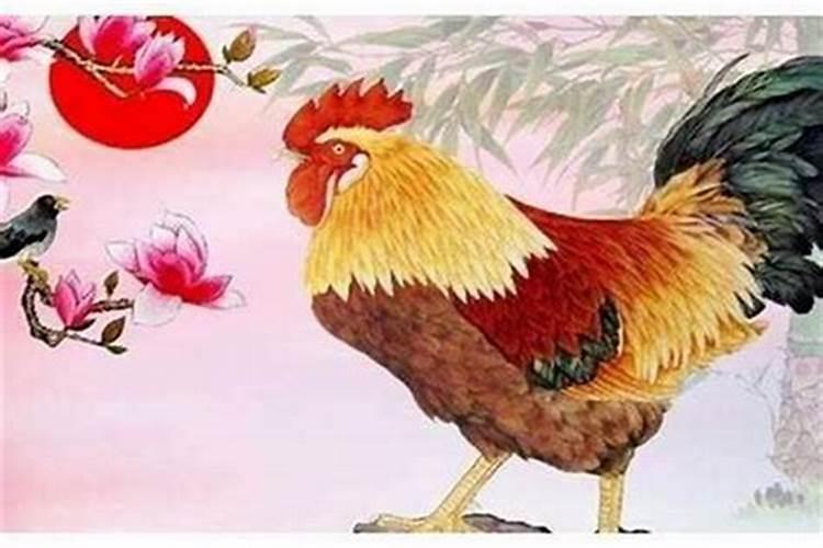 1969年属鸡的寿命短吗