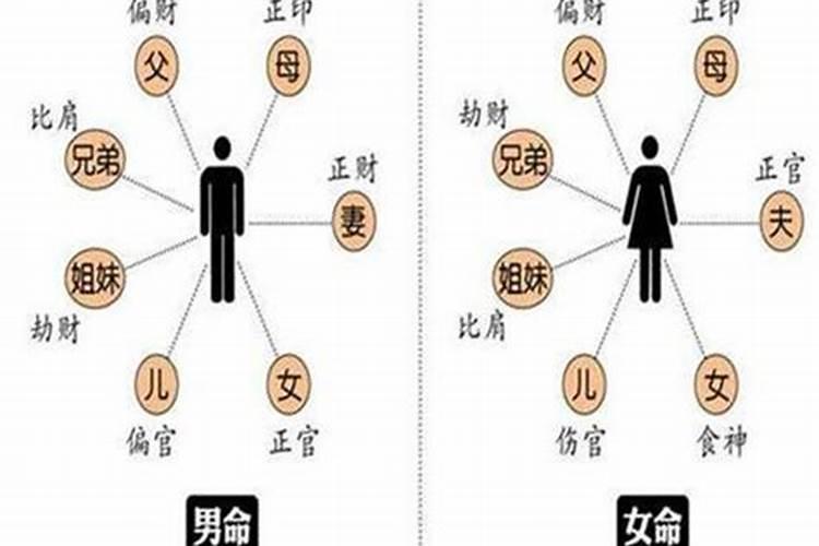女命比肩代表什么