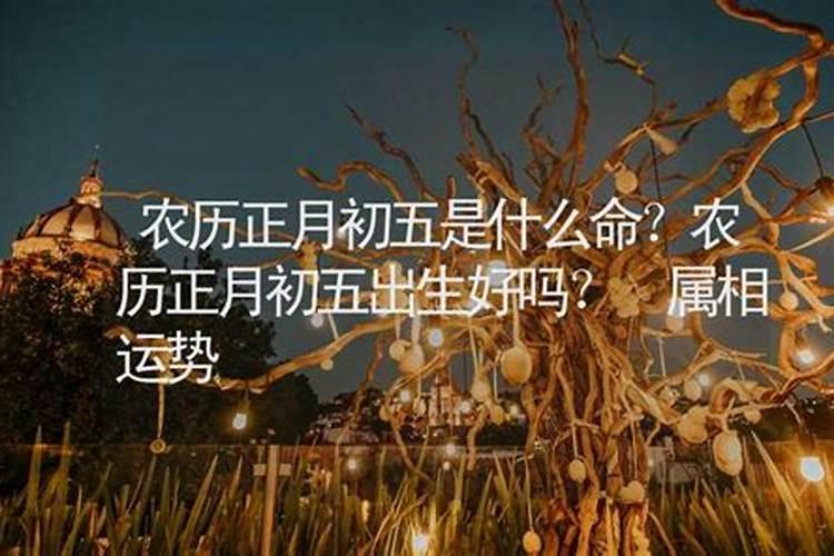 想问下一些知道佛法的人.最近母亲去世了.如果有轮回.我下辈子还能做她...