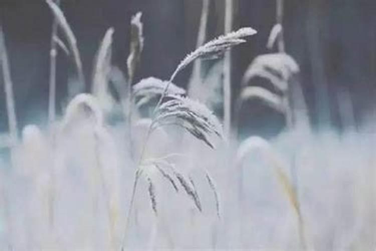 寒衣节上坟有什么讲究