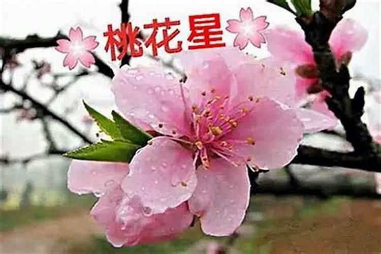 清明节前后出生的孩子有什么说法