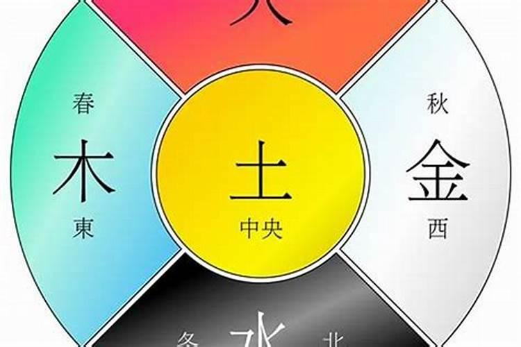 72年鼠的一生