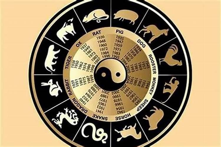 星座属相不合的两人在一起,属相是三合贵人,但星座不和,能配在一起吗
