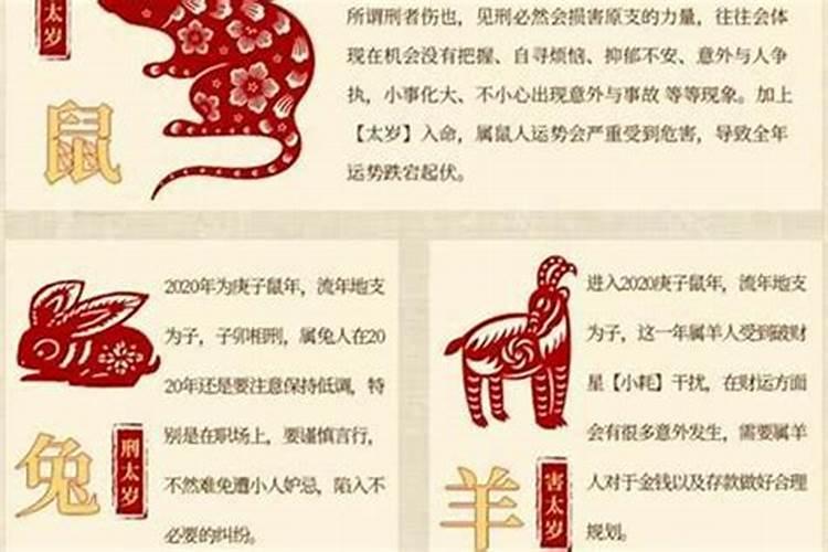 属鼠的本命年事业运势如何？