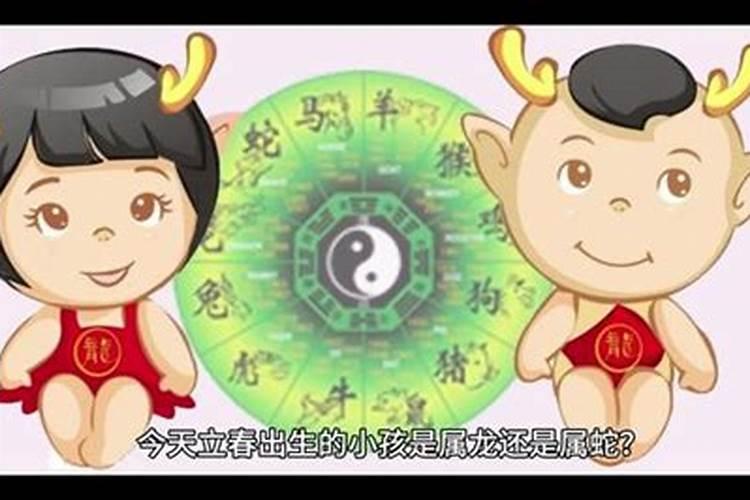 孩子出生属相是立春过后算吗,立春后出生的孩子该属什么？