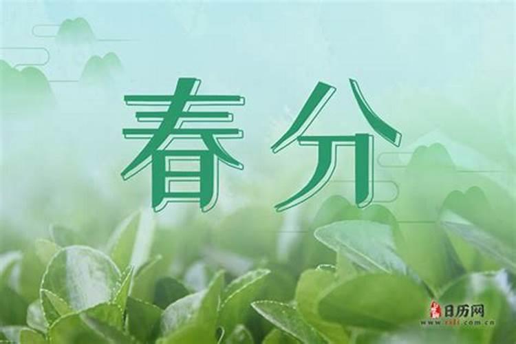 在立春后春节前出生的属相应该怎么算