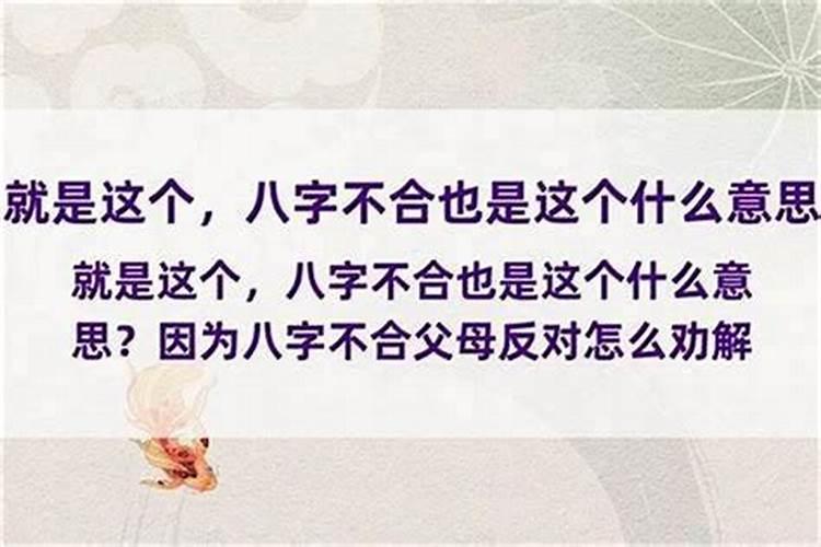 2025年属蛇犯太岁吗