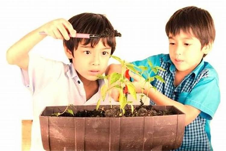 62年的虎2025年的运气好不好